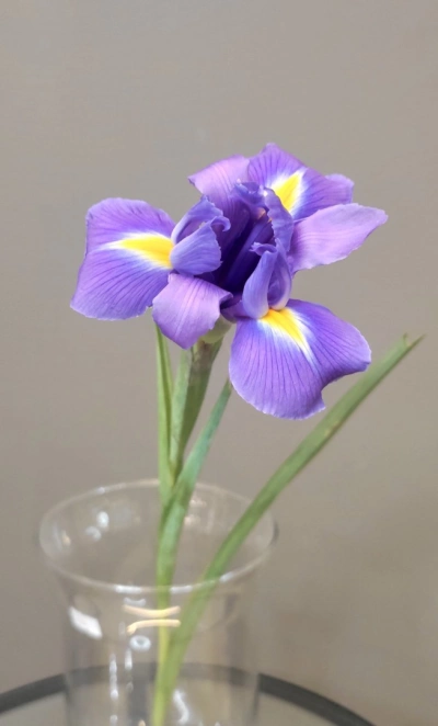 Синий ирис