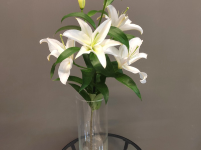 Лилия белая