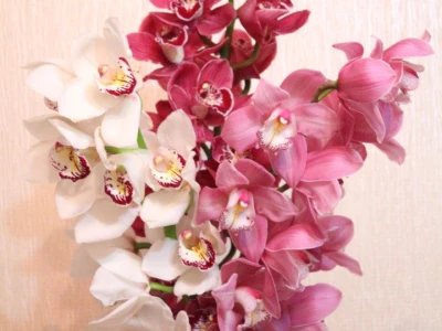 Букет «Орхидеи»