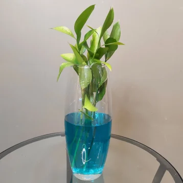 Ваза «Флора»