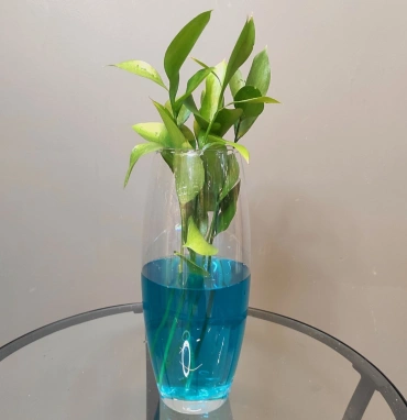 Ваза «Флора»