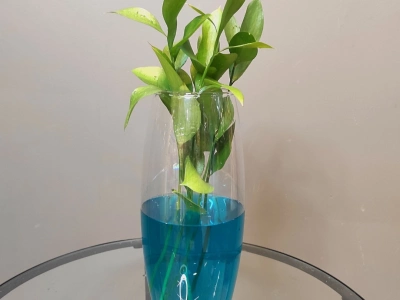 Ваза «Флора»