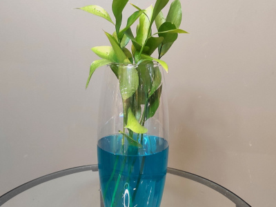 Ваза «Флора»