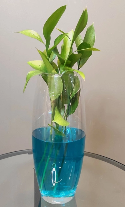 Ваза «Флора»