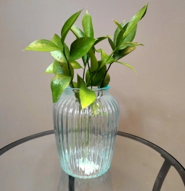 Ваза  «Нина»