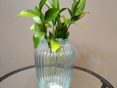 Ваза  «Нина»