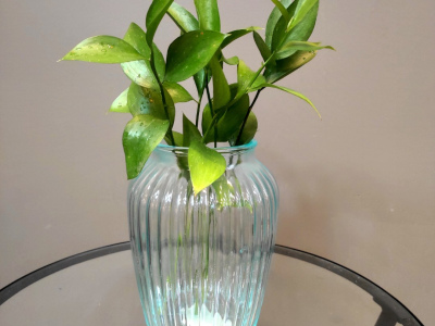 Ваза  «Нина»