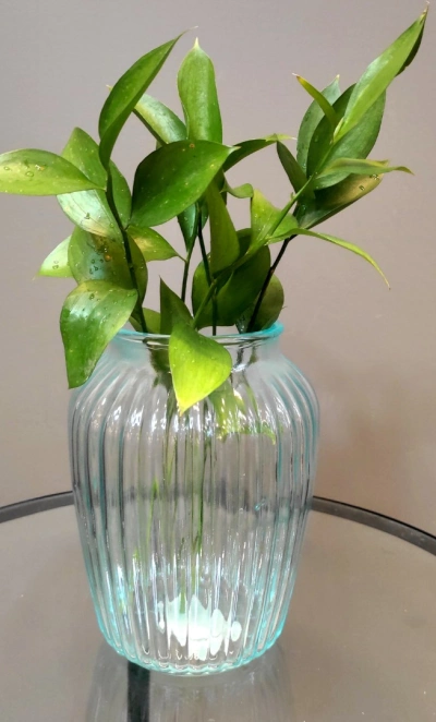 Ваза  «Нина»