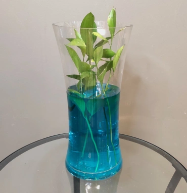 Ваза «Талия»