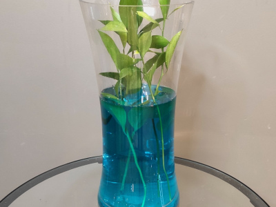 Ваза «Талия»