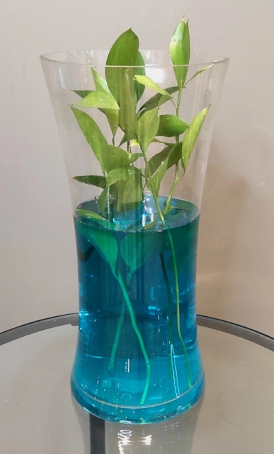 Ваза «Талия»