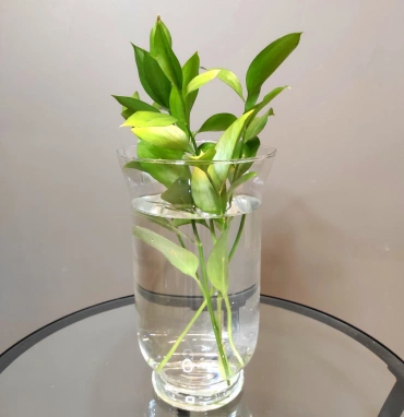 Ваза «Верда»