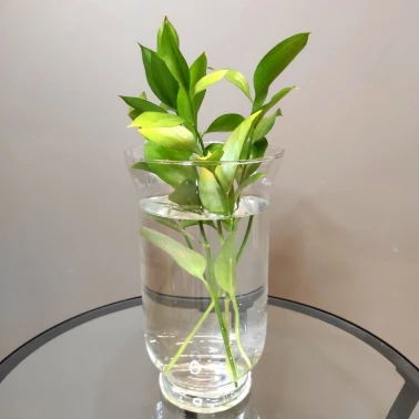 Ваза «Верда»