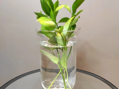 Ваза «Верда»