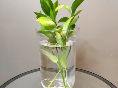 Ваза «Верда»