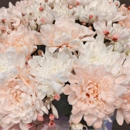 Композиция в шляпной коробке &laquo;Пудровая нежность&raquo; 3