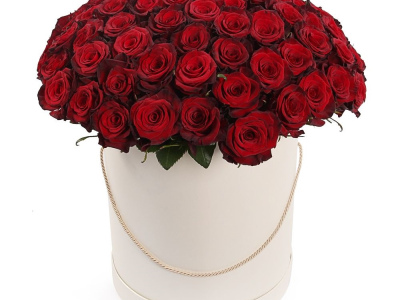 101 красная роза в коробке