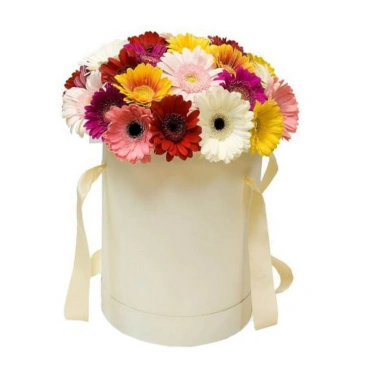 Композиция «Амстердам»