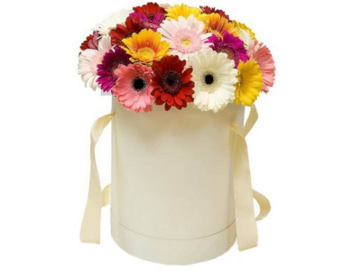 Композиция «Амстердам»