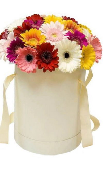 Композиция «Амстердам»