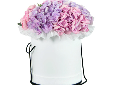 Гортензия в шляпной коробке