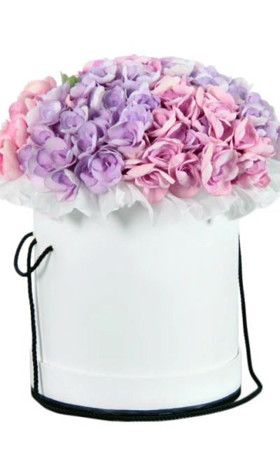 Гортензия в шляпной коробке