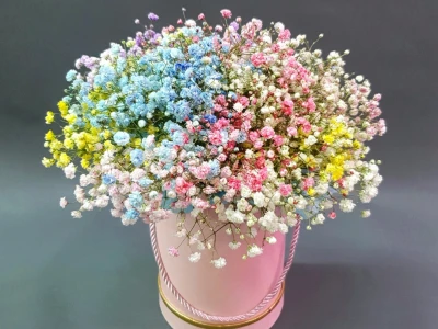 Композиция в коробочке «Радужное облако»