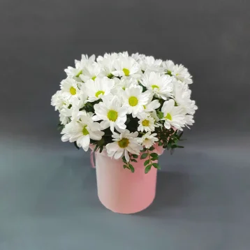 Композиция в коробочке «Привет, ромашки!»