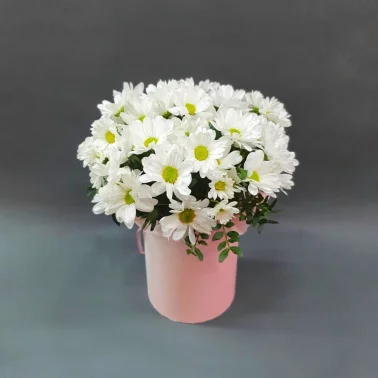 Композиция в коробочке «Привет, ромашки!»