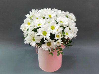 Композиция в коробочке «Привет, ромашки!»