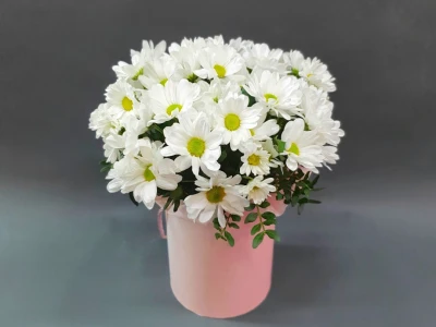 Композиция в коробочке «Привет, ромашки!»