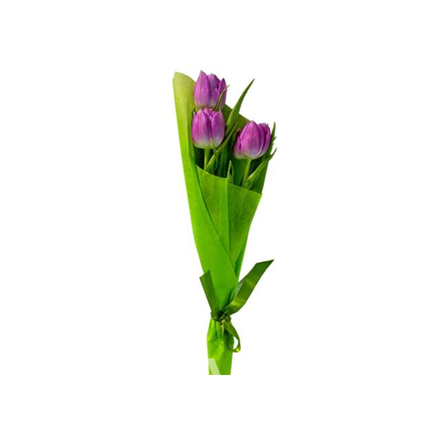 Букет «3 тюльпана» от интернет-магазина «Цветочных дел Мастер»