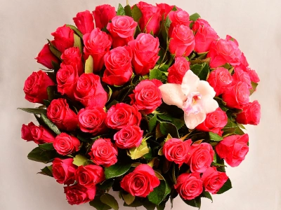 Букет роз «Красивый»