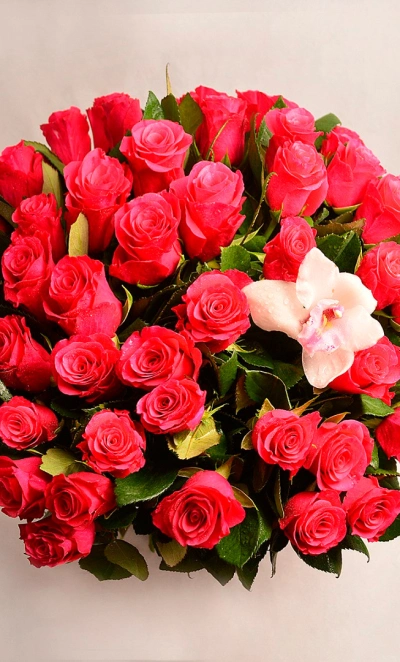 Букет роз «Красивый»