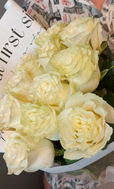 Букет из роз «Морозный день»