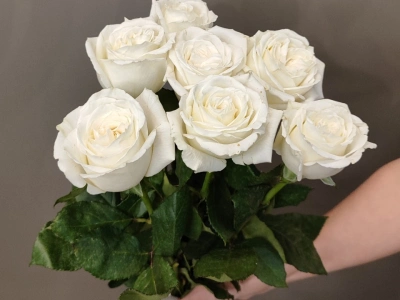 Букет «7 белых роз»