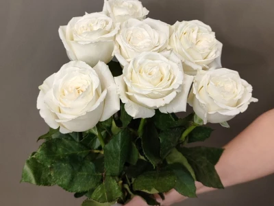 Букет «7 белых роз»