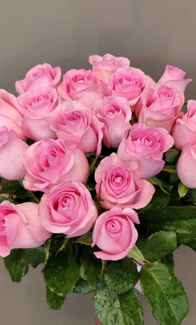 Букет  «из 17 розовых роз»