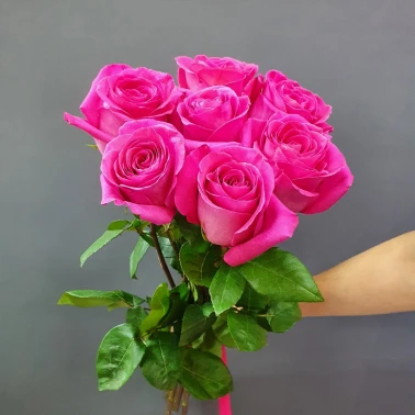 Монобукет роз «Пинкфлойд 7 шт»