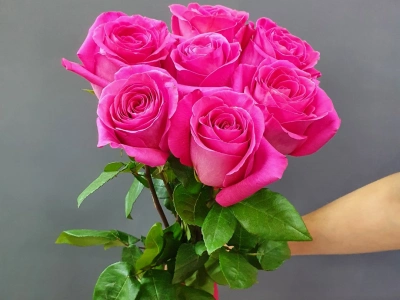 Монобукет роз «Пинкфлойд 7 шт»