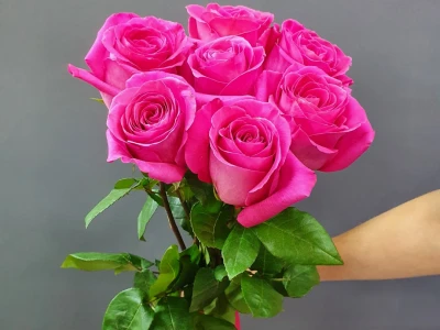 Монобукет роз «Пинкфлойд 7 шт»