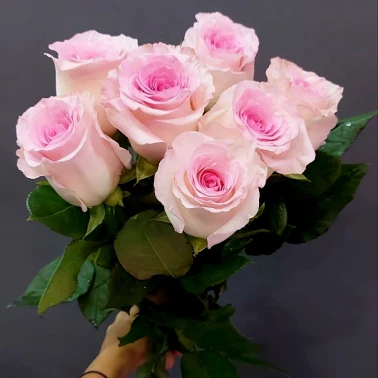 Букет роз «Зефирки»