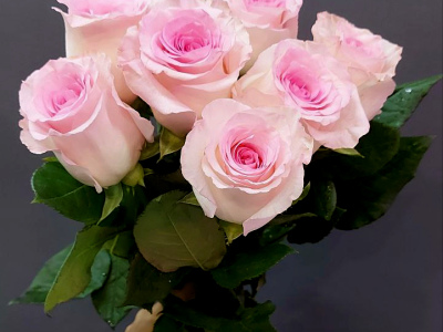 Букет «Зефирки»