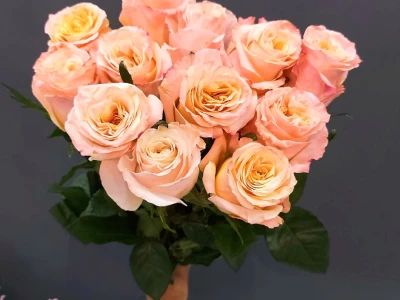 Букет роз «Диво»