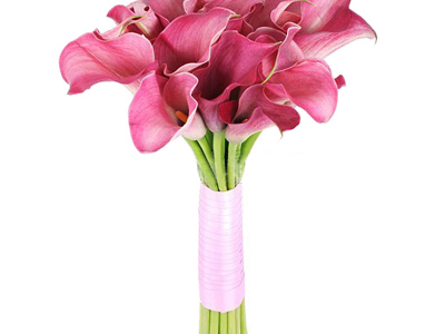 Свадебный букет «Недотрога»