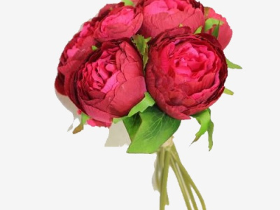 Монобукет из пионов «Пиония»