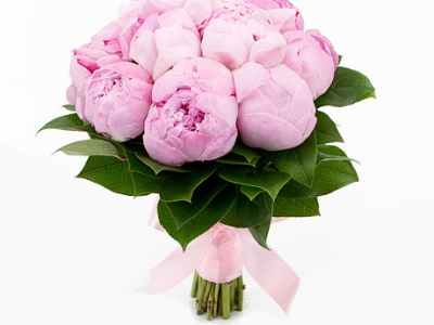 Монобукет пионов «Розовый пуддинг»