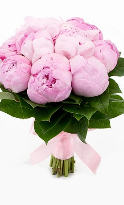 Монобукет пионов «Розовый пуддинг»