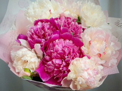Букет пионов «Суфле»