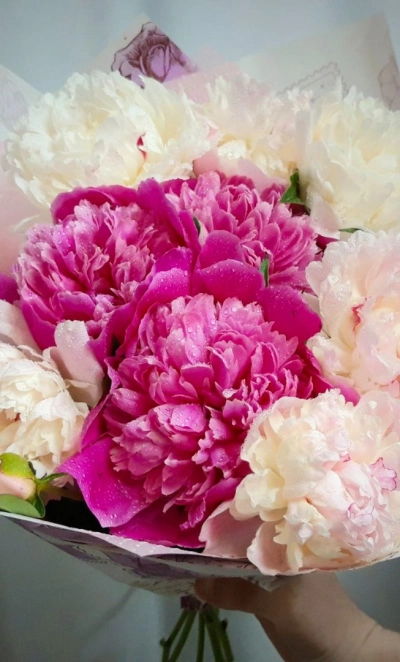 Букет пионов «Суфле»